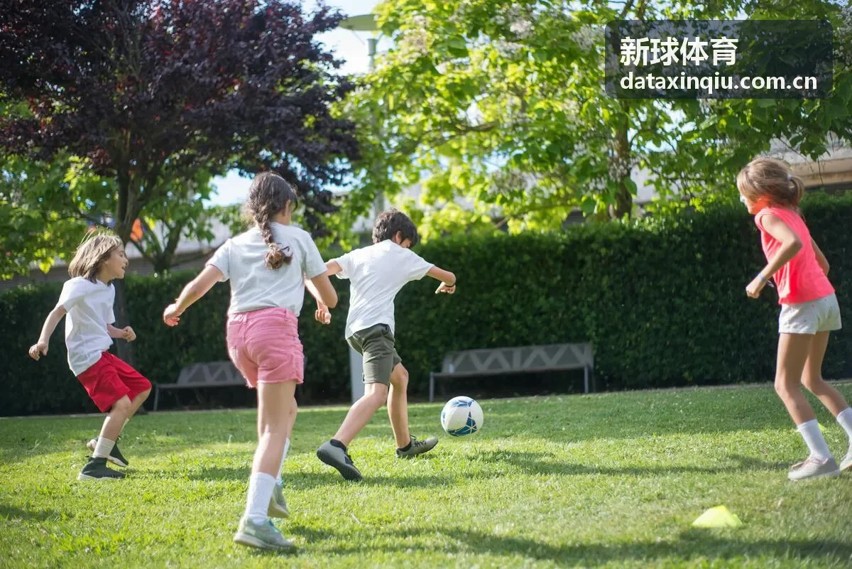 新球体育球队数据入口